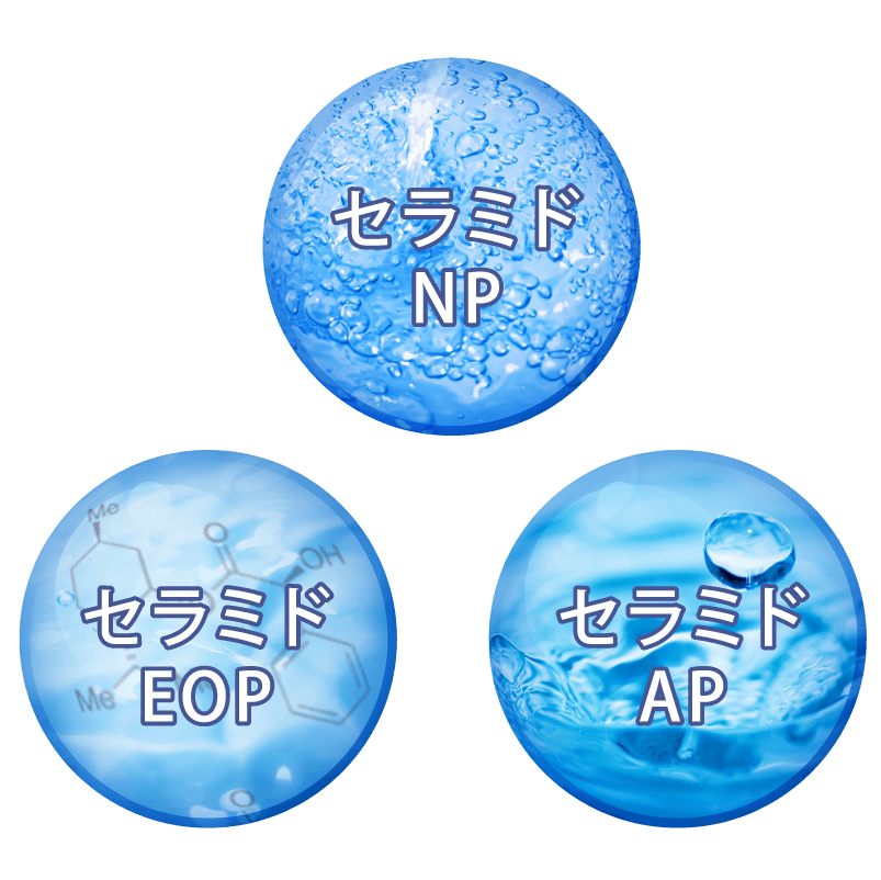 セラミドNP、セラミドEOP、セラミドAP