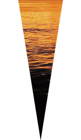 海洋性プラセンタ